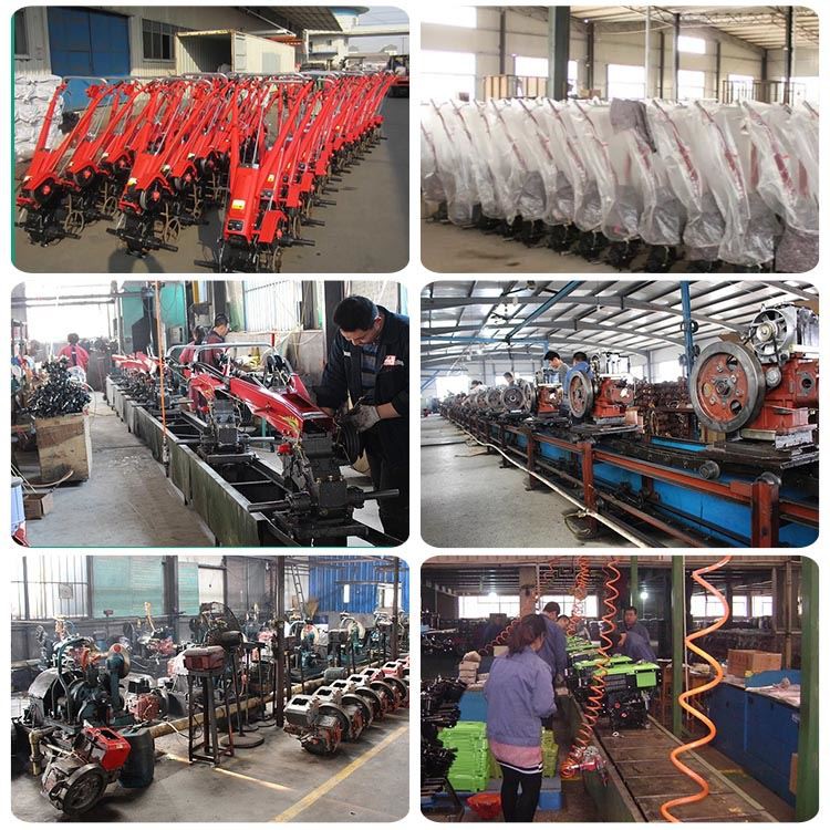 our factory