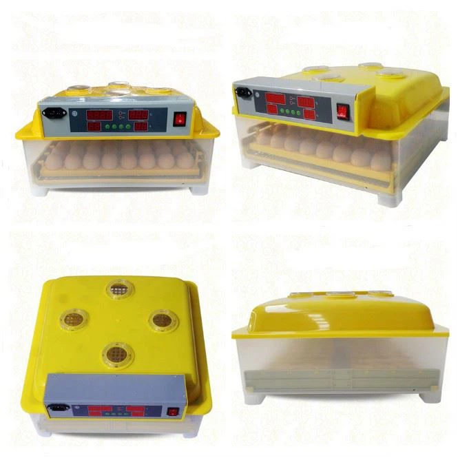 Incubator Hatching