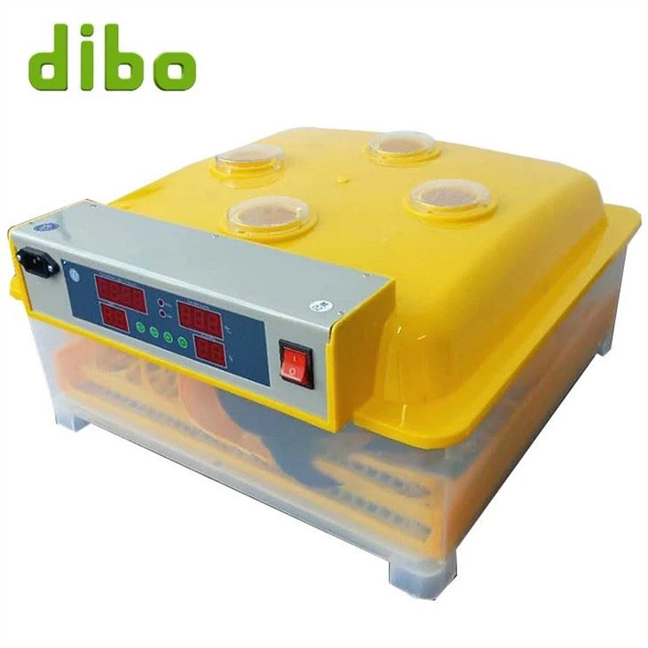 Incubator