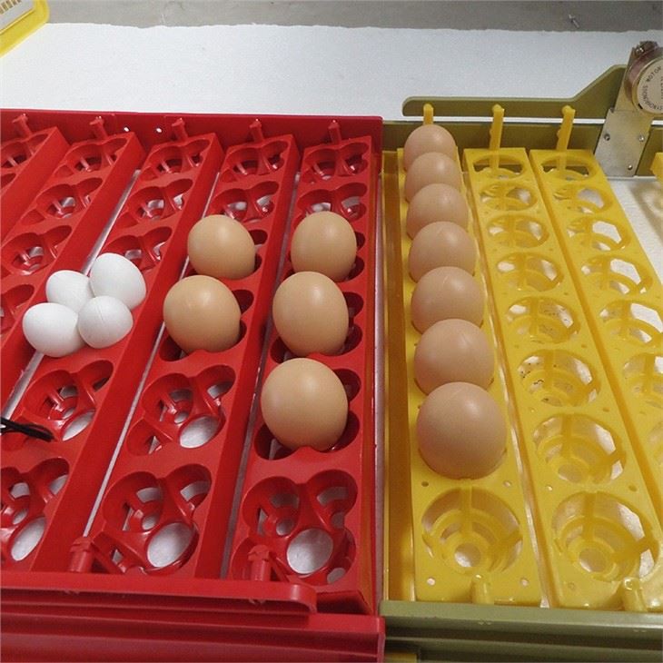 Mini Incubator