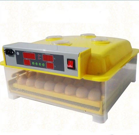 Small Capacity Incubator