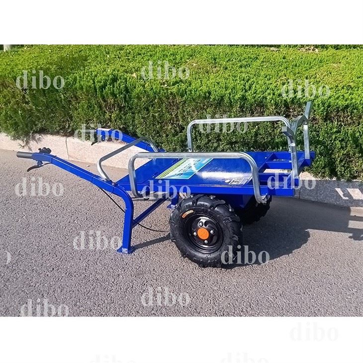 Electric Handcart Trolley best